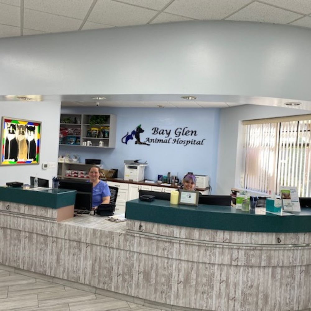 Bay Glen Animal Hospital